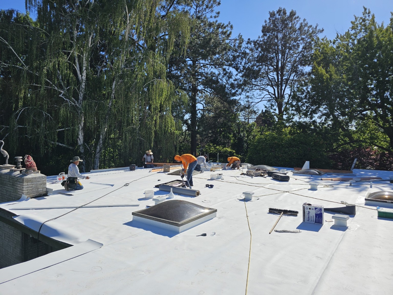 Residential roof surface reviewed for replacement or coating options